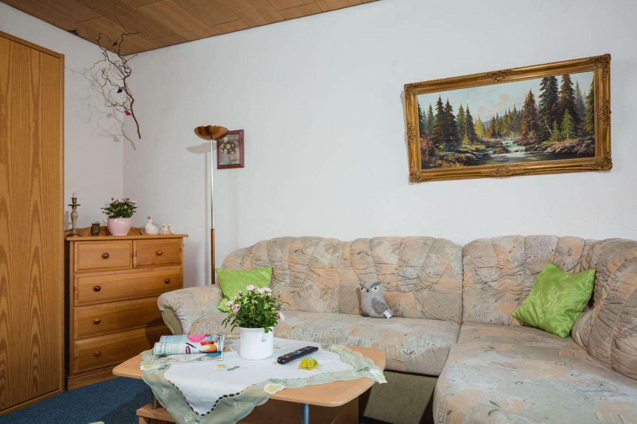 Ferienwohnung Harzblick Лаутентхаль Экстерьер фото